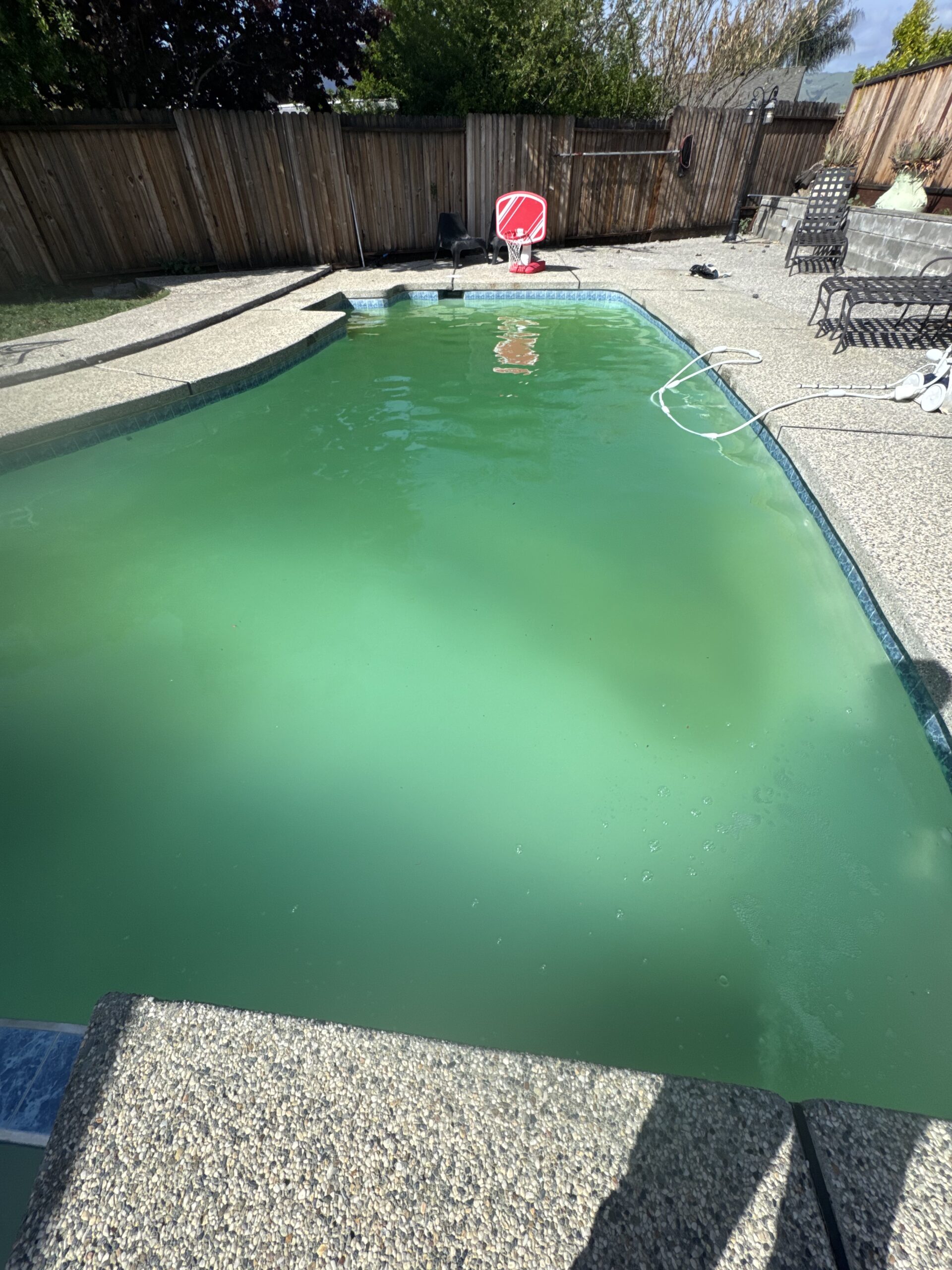 Green to clean pool recovery in Corona, CA by Reign Pool Services